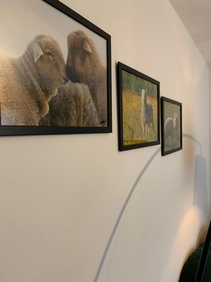 Noclegi Little Sheep Chojna Esterno foto